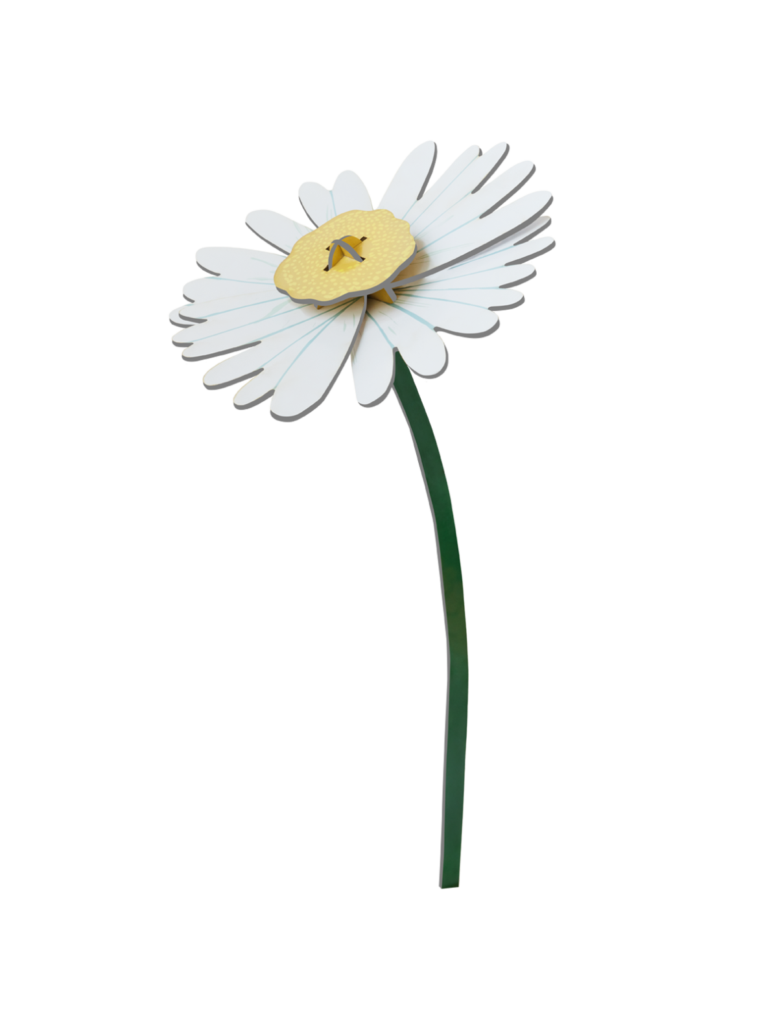 Daisy Studio Roof