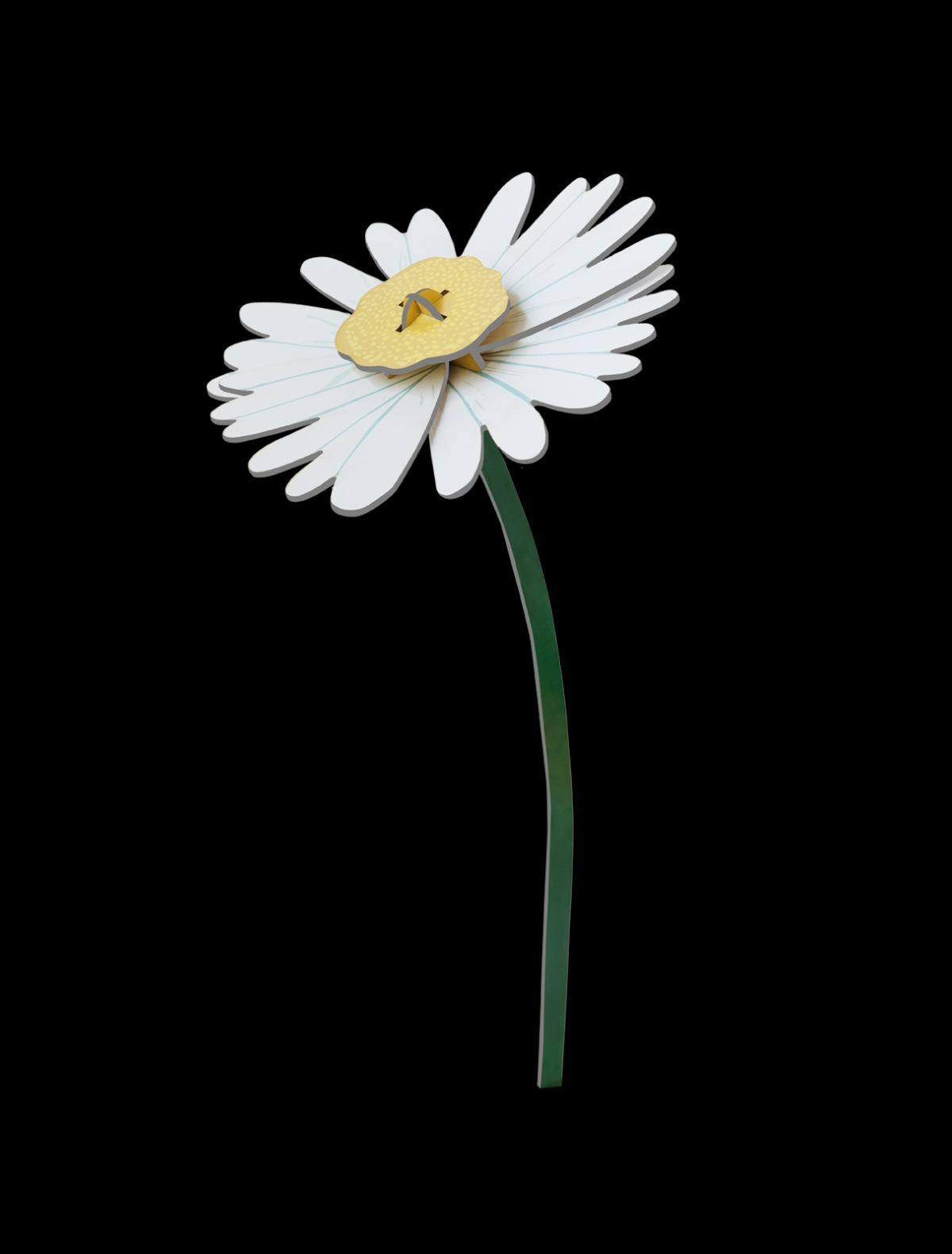 Daisy
