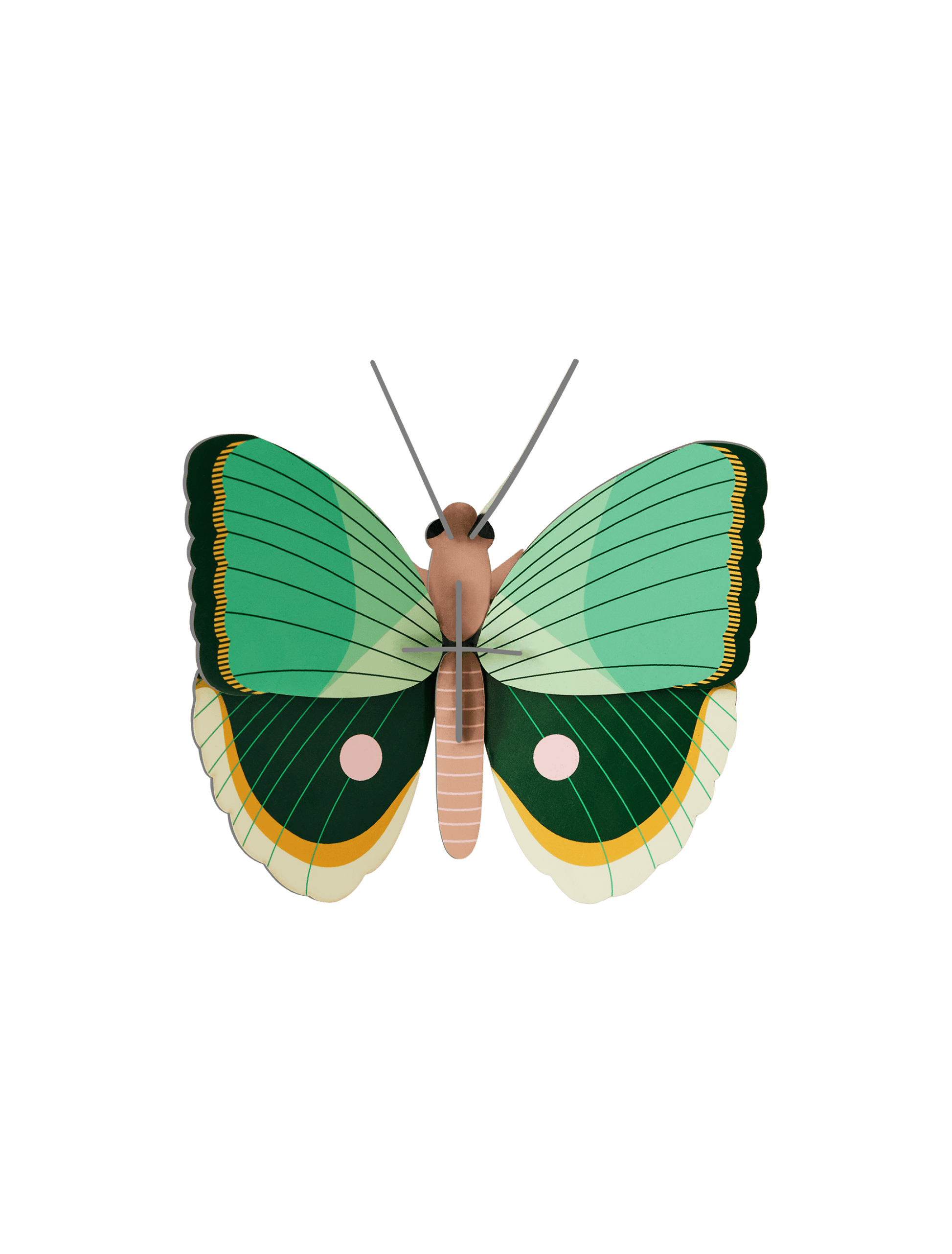 Gern Striped Butterfly