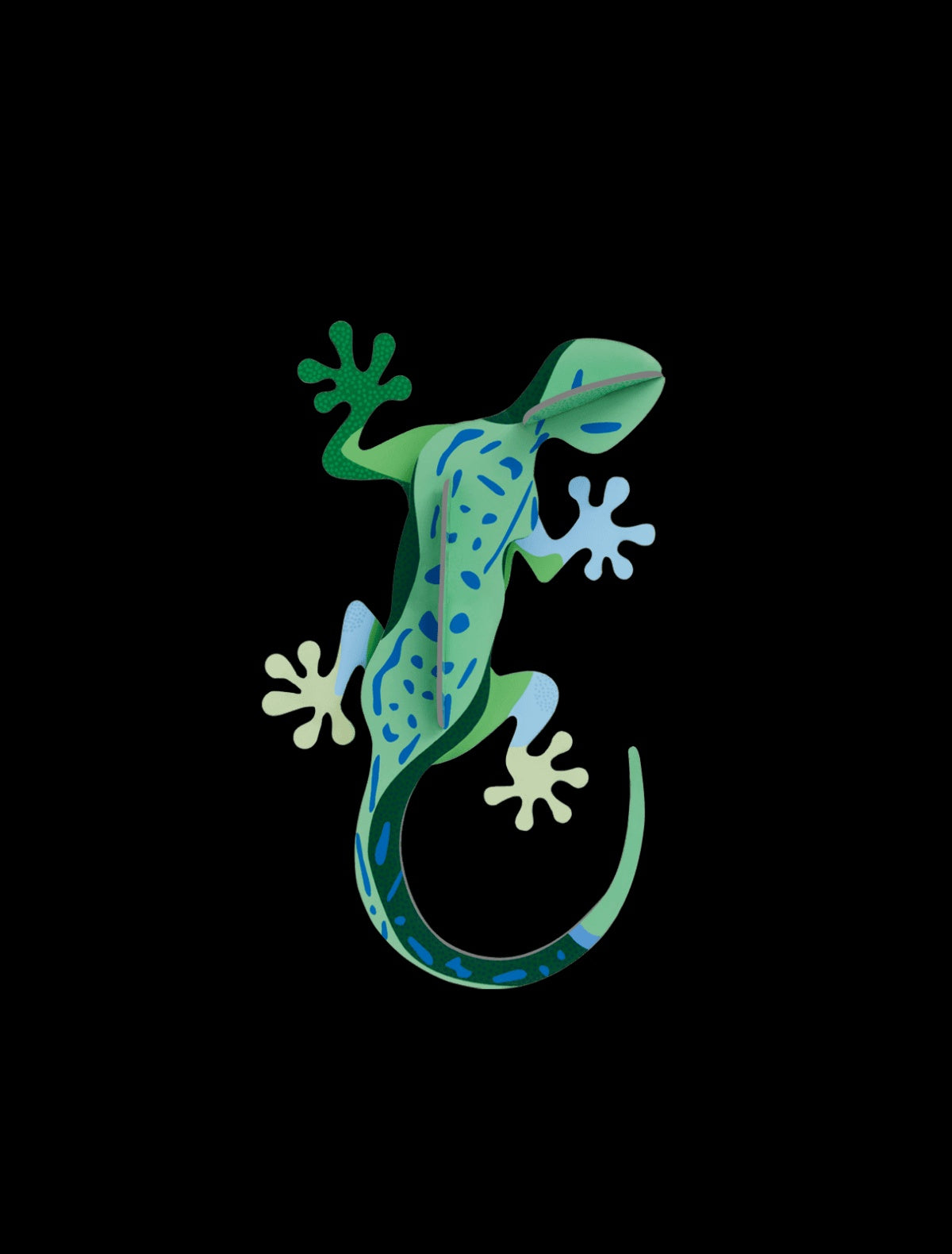 Gecko Studio Roof