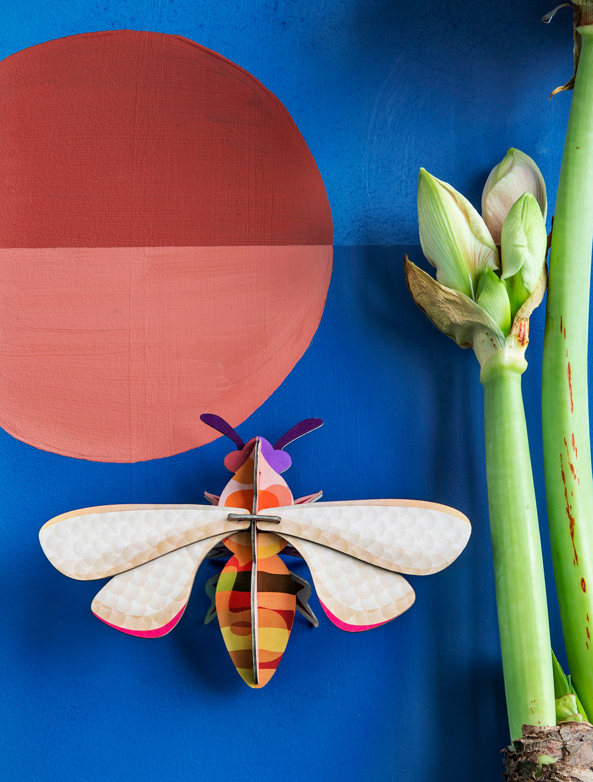 Honey Bee Studio Roof