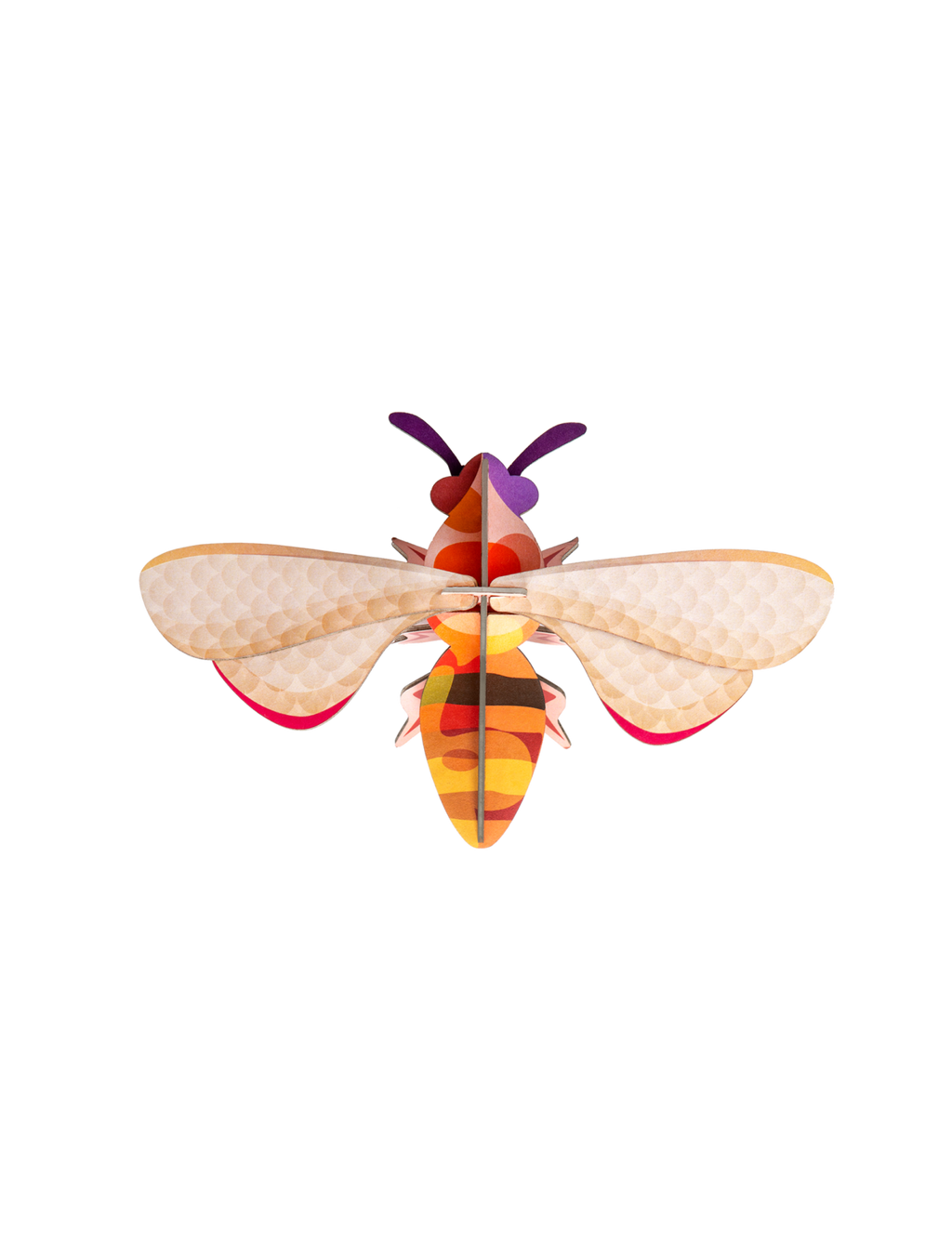 Honey Bee Studio Roof