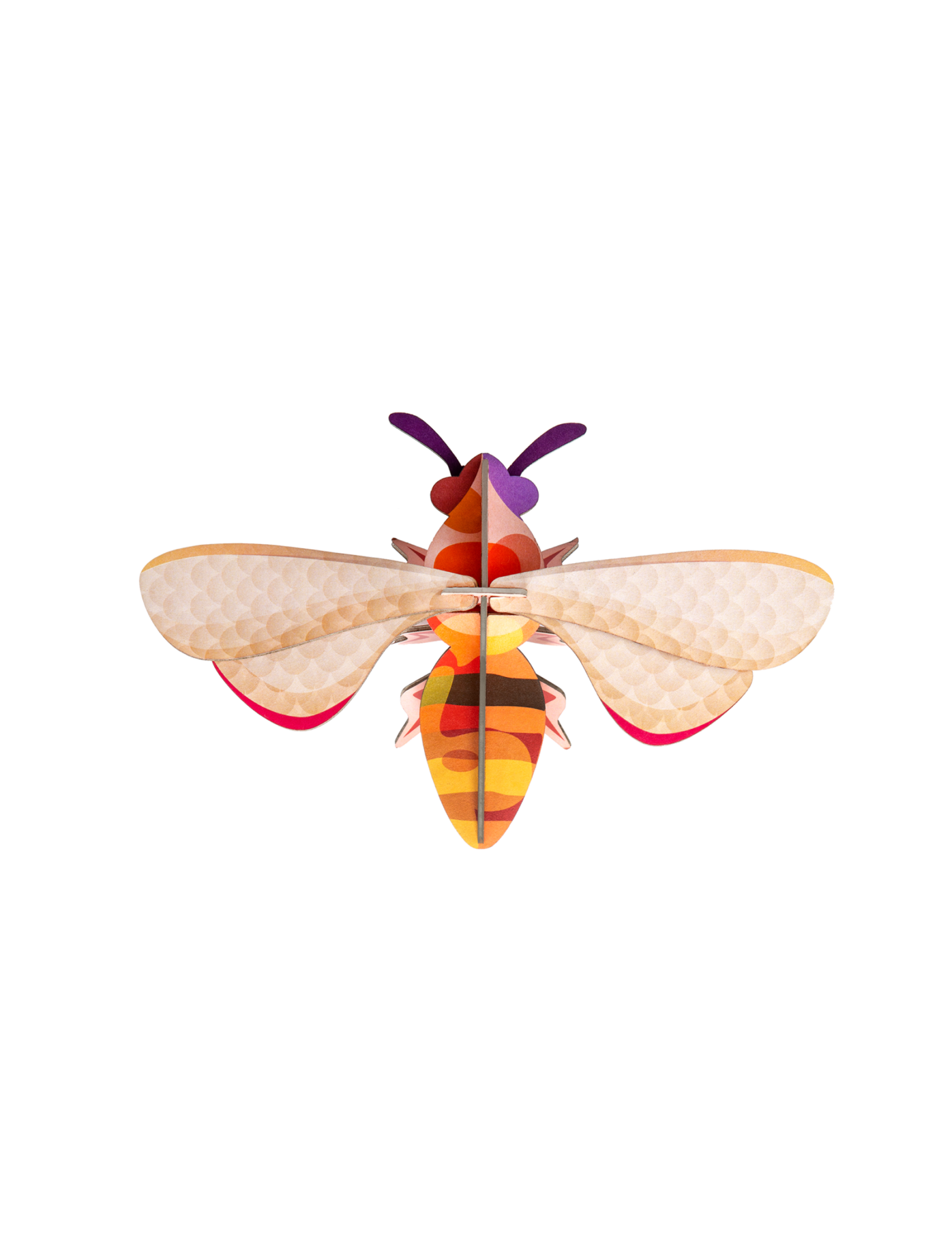 Honey Bee Studio Roof
