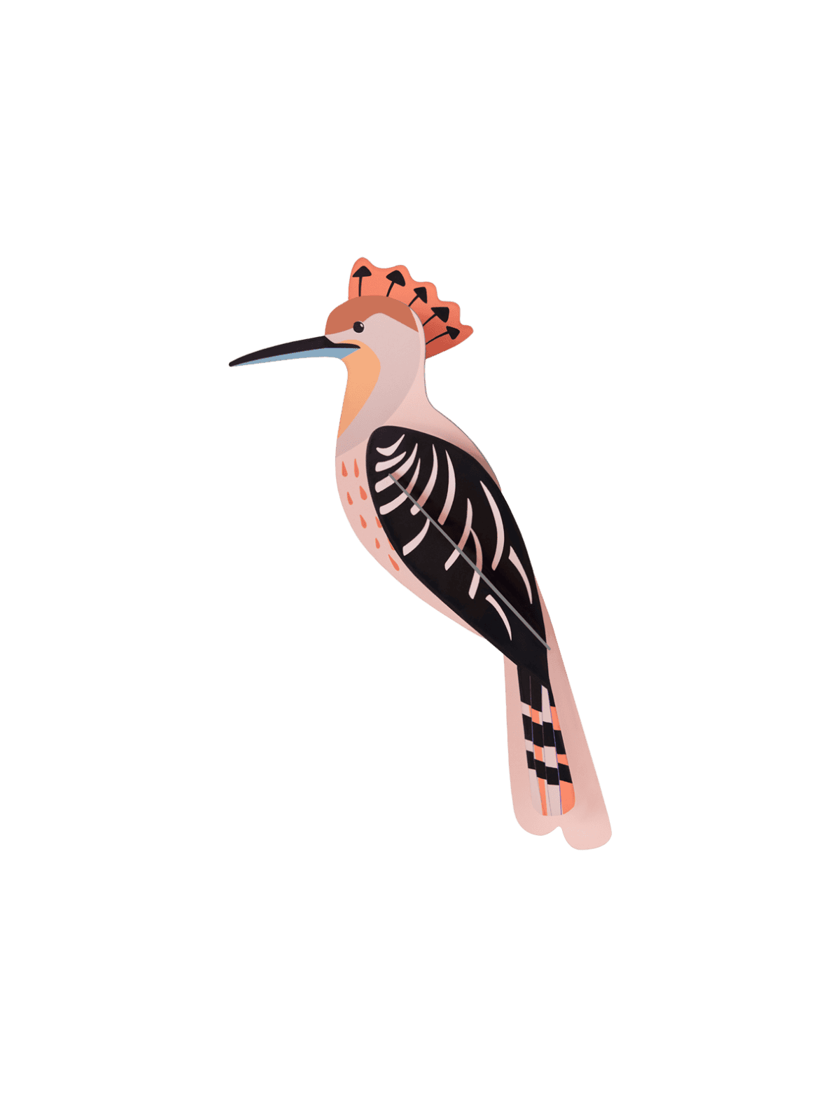 Hoopoe vogel Studio Roof