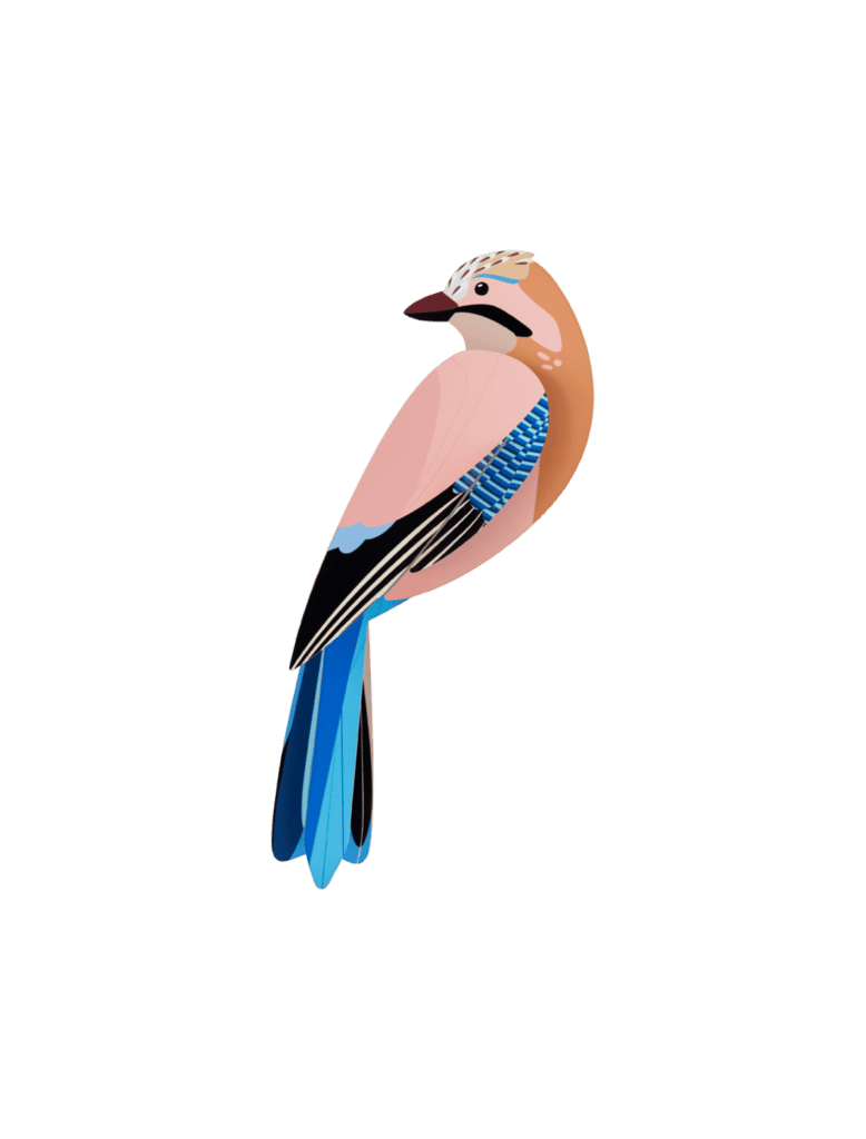 Jay