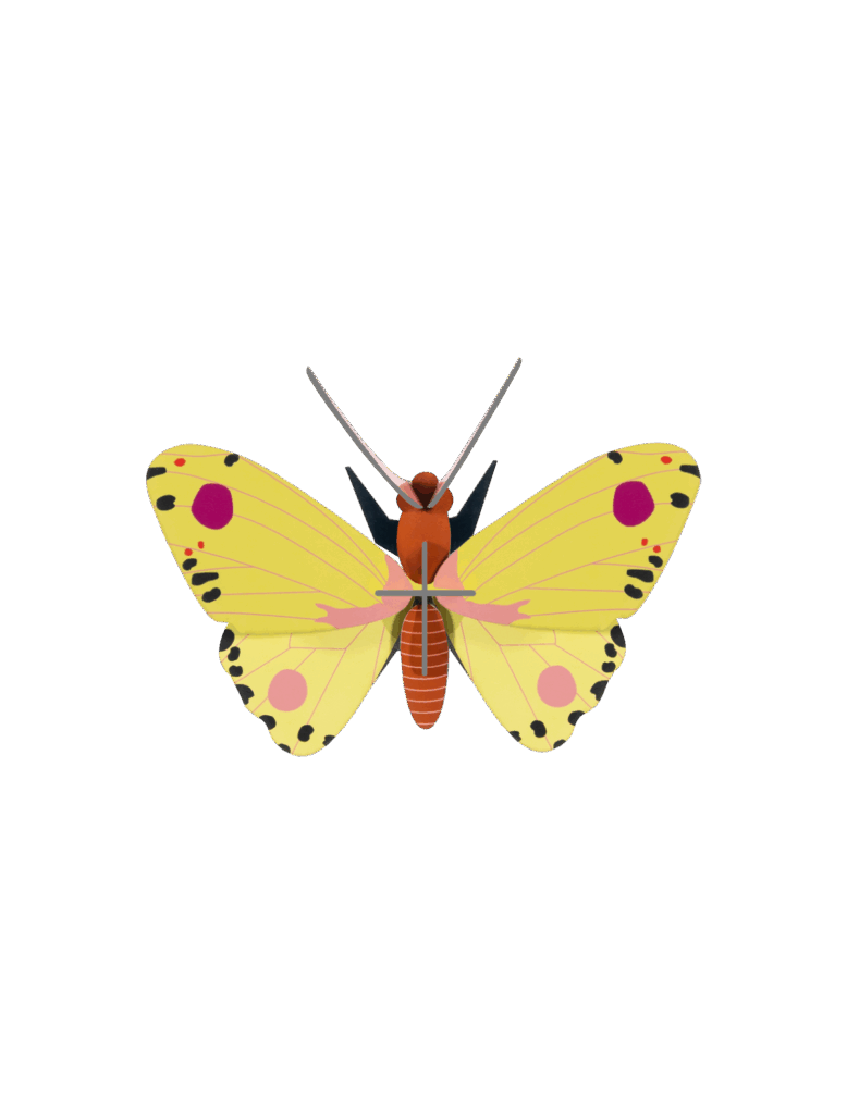 Luzerne Butterfly