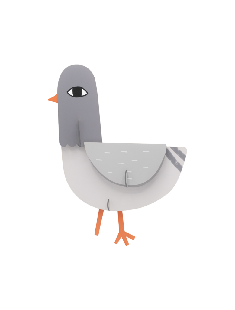 Paddy pigeon