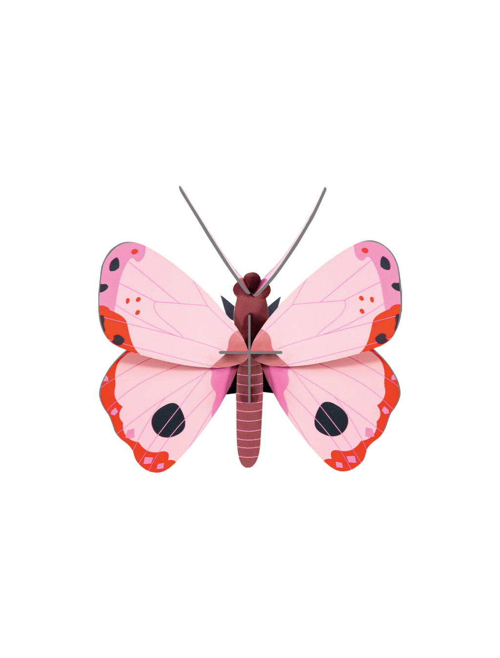 Rosora Butterfly