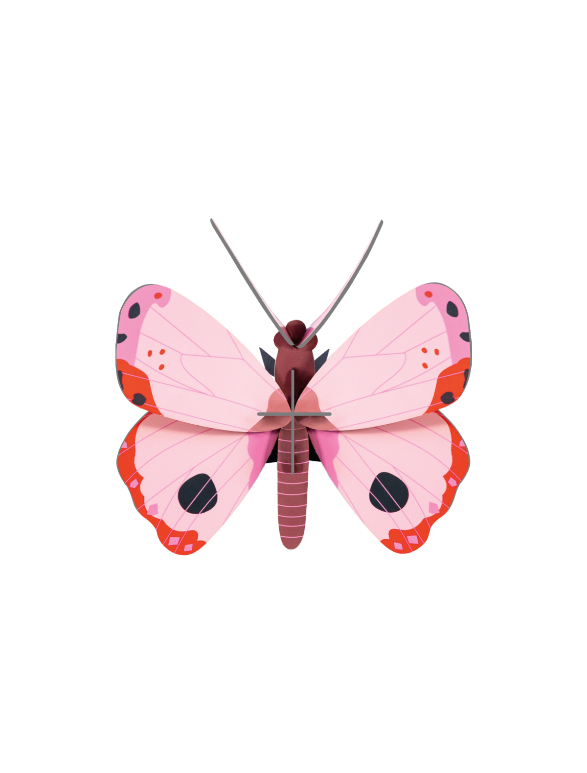 Rosora Butterfly