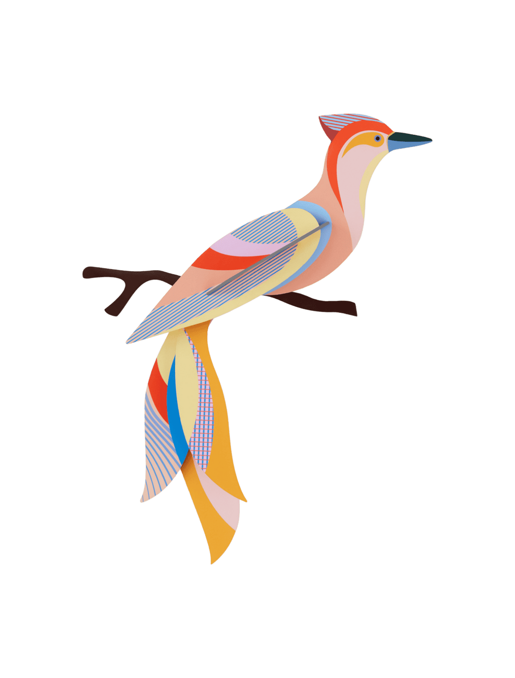 Sabah vogel Studio roof