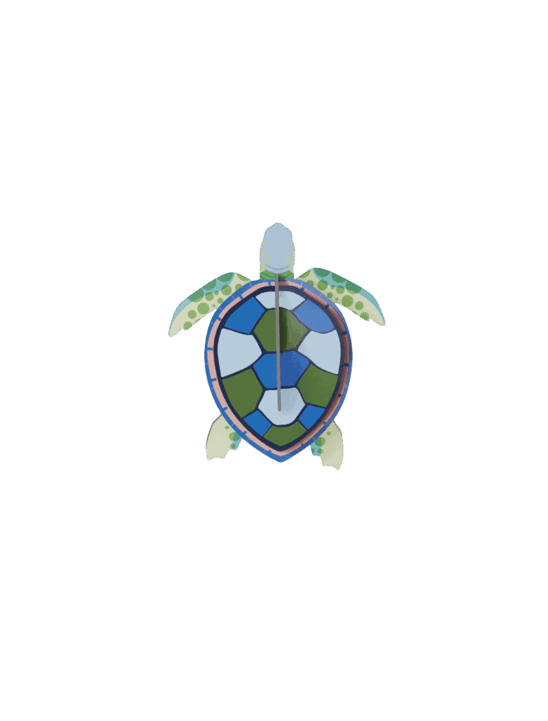 Sea Turtle Studio Roof