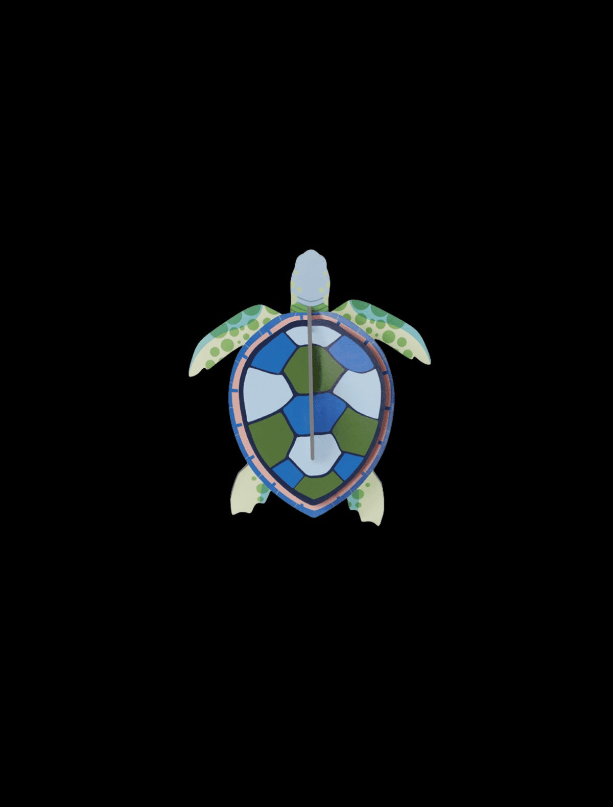 Sea Turtle Studio Roof
