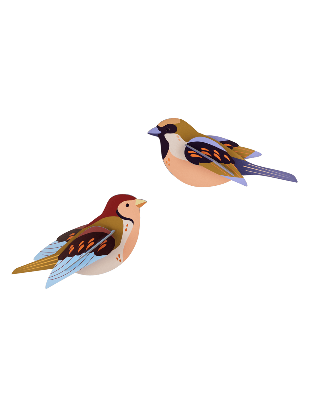 Sparrows