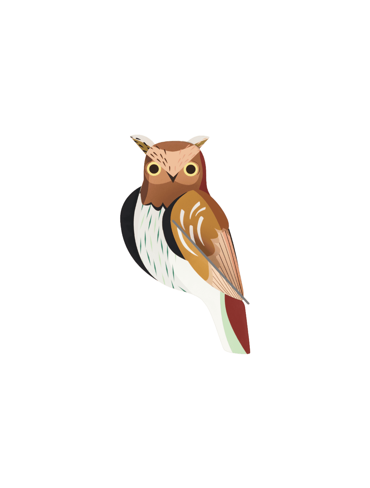 Tawny Owl